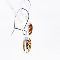 French Hook Cognac Amber Dangling Earrings