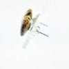 Heart Shape Cognac Amber Post Earrings - Image 3