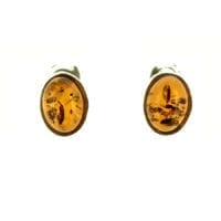 8 x 6 mm Oval Cognac Amber Stud Earrings