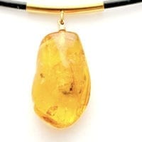 Natural Baltic Amber With Insect(s) Inclusion Necklace