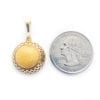 Hand-crafted Natural Butterscotch Amber Set In Vermeil Pendant - Image 4